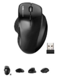 Wireless Mouse--WM-01