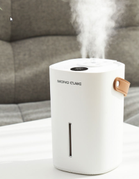 USB rechargeable 4-hole Humidifier