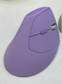 Wireless Vertical Mouse--WVM-01